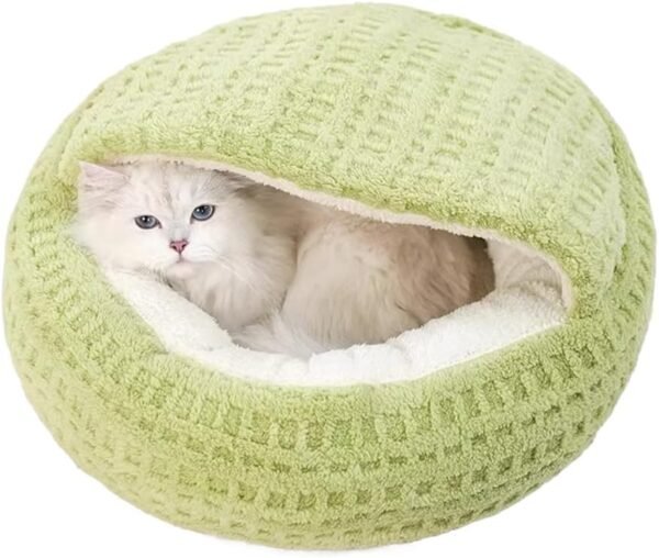 Shell-shaped semi-enclosed plush bed