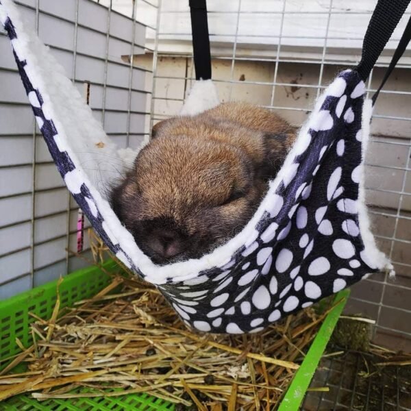 Round Hanging Hammock Bed for Cat Cages