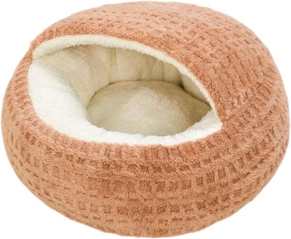Coffee-colored small shell-style semi-enclosed bed