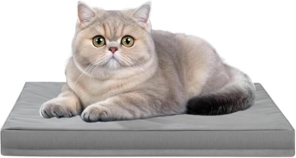 Scratch-resistant pet bed