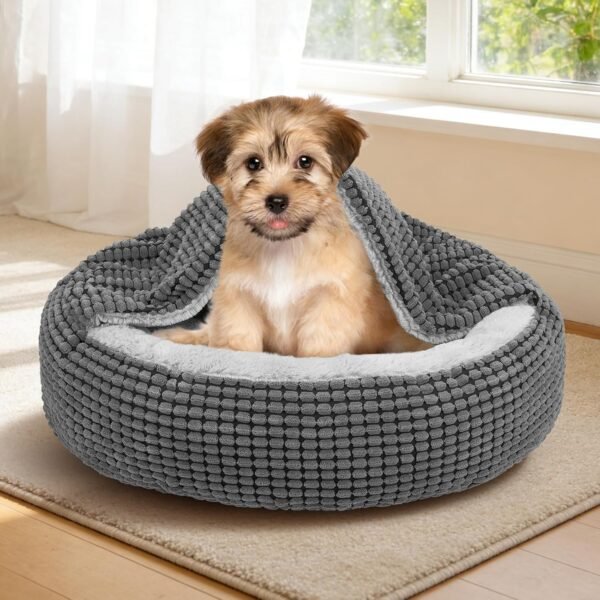 Donut-style bed with a soothing blanket